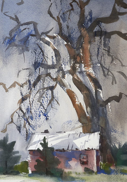 Erie Cottonwood, Looming
2026   &frac14; Sheet
Art approx: 10.5 x14.5&rdquo;
Frame/Mat: 16x20&rdquo;