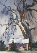 PTG- ErieCottonwoodLooming.jpg